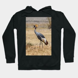 Grey Crowned Crane Hoodie